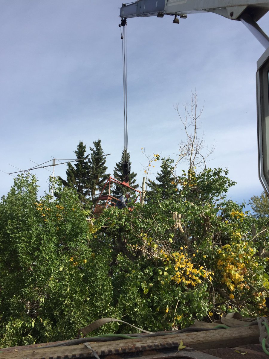 indecision6's tweet photo. Had to get some help for the tall fat ones that we couldn’t reach with the lift truck. Also, some were over the edge of the house too. One small booboo. Yet another day of trimming trees and all thay goes with it. Ugh. https://t.co/Jh0bnUKi24
