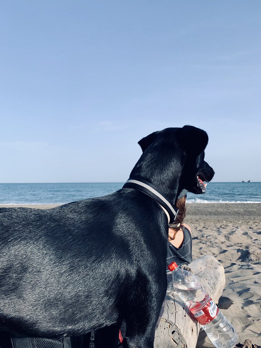 jarjardory's tweet photo. Hoy hemos ido a la playa por primera vez ☺️☺️ https://t.co/M3qWHKt3KW