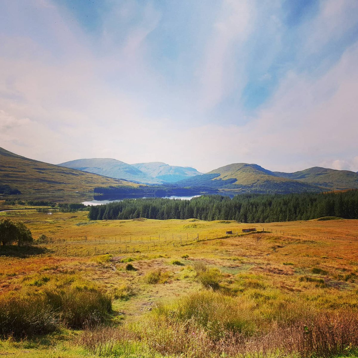 Paul Dunn tweet media