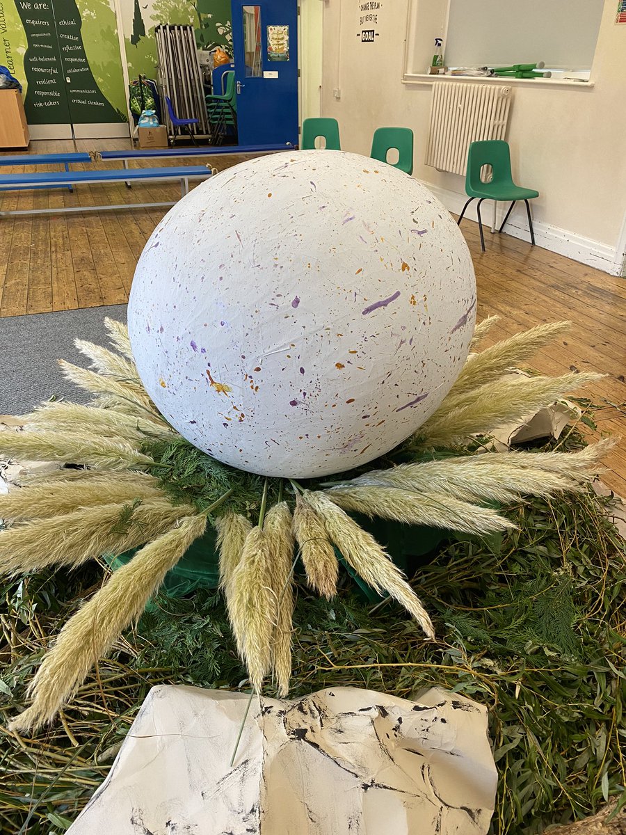 St David's Primary  Exeter tweet media