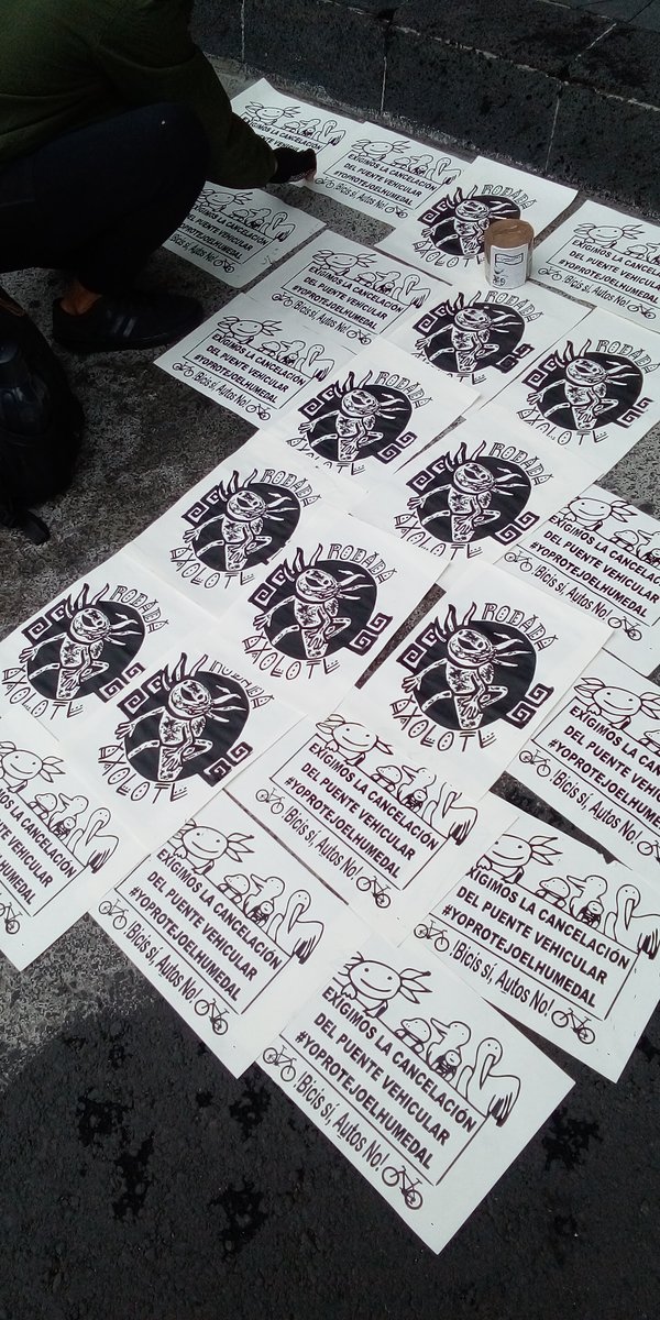 RodadasA's tweet photo. 18 de septiembre
¡V Rodada Axolotl!
@Claudiashein no pararemos hasta detener la obra ecocida de Cuemanco. 
#YoPrefieroElHumedal 
#YoProtejoElHumedal 
#HumedalesSíPuentesNo 
#NoAlPuenteVehicular https://t.co/V2QT7QQFx8