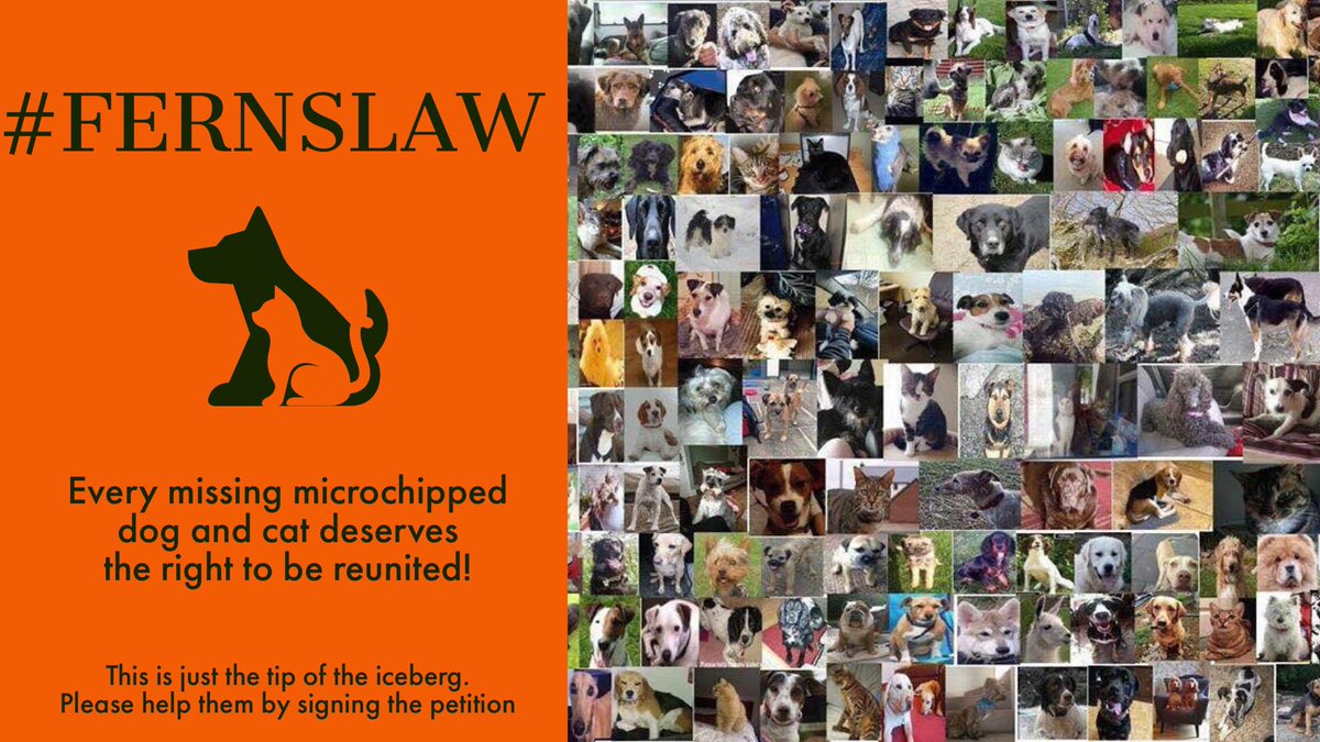 @VetsGetScanning @JamesDalyMP @SAMPAuk_ @BrendaBlethyn @millypod1 @tomhunt1988 @pettheftaware @WaterhousePat @HunnyJax @MissingPetsGB @PcsharonPage Disgusting that once again the need to scan & check microchips to reunite missing/stolen dogs & cats after so many campaigns over so many years is being ignored What is reason for excluding Fern's Law from private members bill? #PetTheftReform #MissingNeverHeals #FernsLaw #ScanMe