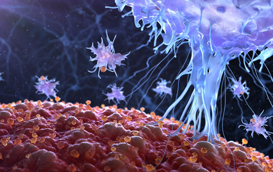 Paving the way for developing therapeutic vaccines for melanoma, collaboration between <a href="/MonashBDI/">Monash Biomedicine Discovery Institute</a>'s <a href="/tony_purcell8/">Tony Purcell</a> <a href="/PFaridi/">Pouya Faridi</a> <a href="/RalfSchittenhe1/">Ralf Schittenhelm</a> &amp; <a href="/ONJCRI/">ONJ Cancer Research Institute</a> published in <a href="/CIR_AACR/">Cancer Immunology Research</a>, findings open untapped resource for #immunotherapy &amp; #cancer vaccination. More: ow.ly/2blu50Bwjta