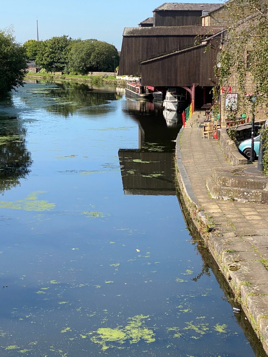 o_tweeters's tweet photo. A few more photos from our wellbeing walks on a Thursday morning by the canal! https://t.co/UGwNnWxgER