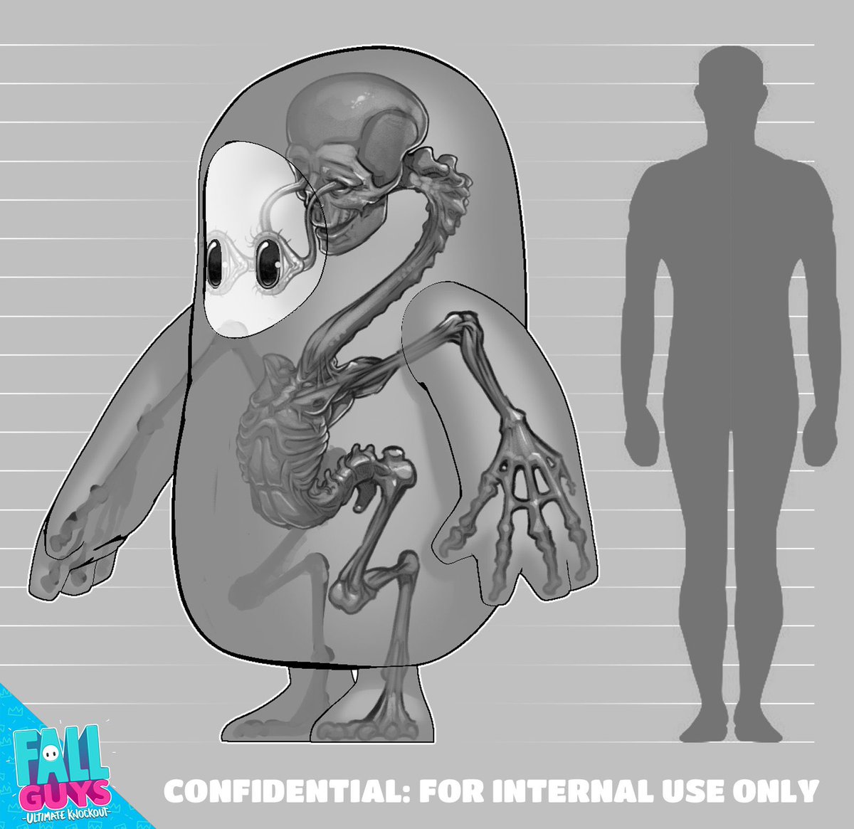 公式から Fall Guysの中身 として投下された骨格図に衝撃 構造から鳥類に近いとか考察や他作品キャラの骨格を想像する人も Togetter