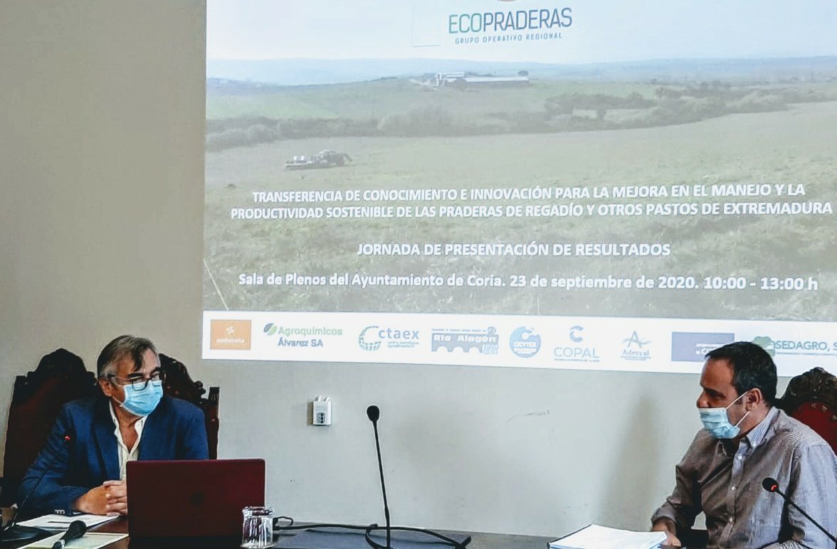 FJulianFuentes's tweet photo. Hoy en @Ayto_de_Coria con @Junta_Agricultu. Presentación resultados Grupo Operativo #Ecopraderas. Debido a restricciones la jornada tuvo acceso restringido. Próximamente disponible en YouTube para los interesados. ¡Enhorabuena  #goecopraderas! #praderas #Extremadura @EIPAGRI_SP https://t.co/mjX4tcBB8K