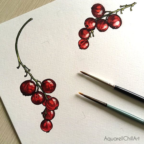 Sneak peek of my red currants
#watercolorartist #watercolorillustration #botanicalillustration #fruitillustration #WinsorandNewton #redcurrant