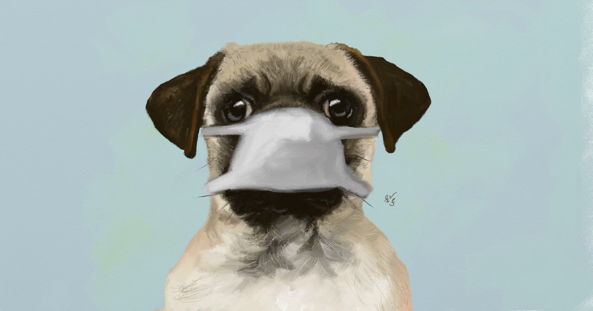 Now, some of you will be starting to see where I'm going with this. I thank you for your indulgence and patience in getting this far. For the rest, here's a picture I drew of a pug wearing a mask as an incentive to continue. Maybe there'll be another cute doggy pic.... Maybe. 6/