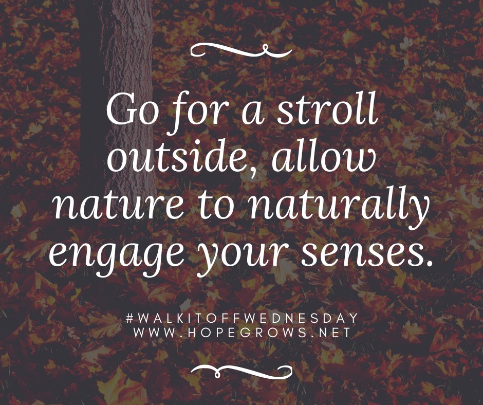 HopeGrows1130's tweet photo. Go for a stroll outside, allow nature to naturally engage your senses. What did you learn? Did any thoughts surface? Take note of how you felt. #Thinkcaregiver™ #FeelGoodFriday #Caregiving #Caregiversupport https://t.co/fM4tpQKJuQ