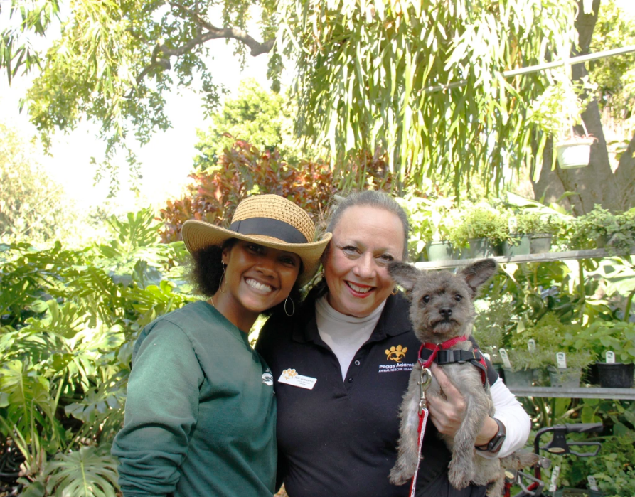 Palm Beach County (@pbcgov) on Twitter photo Mounts Botanical Garden hosting its annual Dogs' Day in the Garden, on Sun, Oct 25 from 9am- 3pm.
Event held throughout garden, reg admission applies: $10 general; $5 children 5-12, & free for members. ow.ly/mvk750BzqBx <a href="/MountsBotanical/">Mounts Botanical Garden</a> Mounts Botanical Garden hosting its annual Dogs' Day in the Garden, on Sun, Oct 25 from 9am- 3pm.
Event held throughout garden, reg admission applies: $10 general; $5 children 5-12, & free for members. ow.ly/mvk750BzqBx <a href="/MountsBotanical/">Mounts Botanical Garden</a>