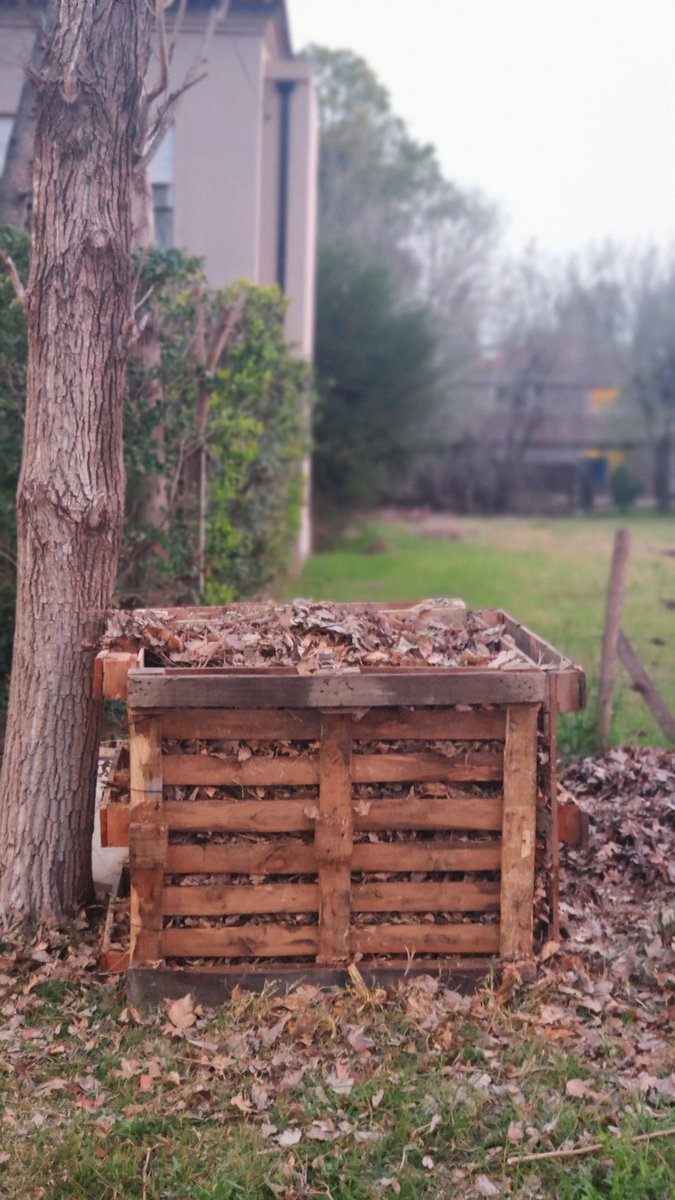 Me_dicen_Coco's tweet image. Lista la #compostera.

Sólo 4 pallets y un poco de paciencia....
@natifeldmanmr