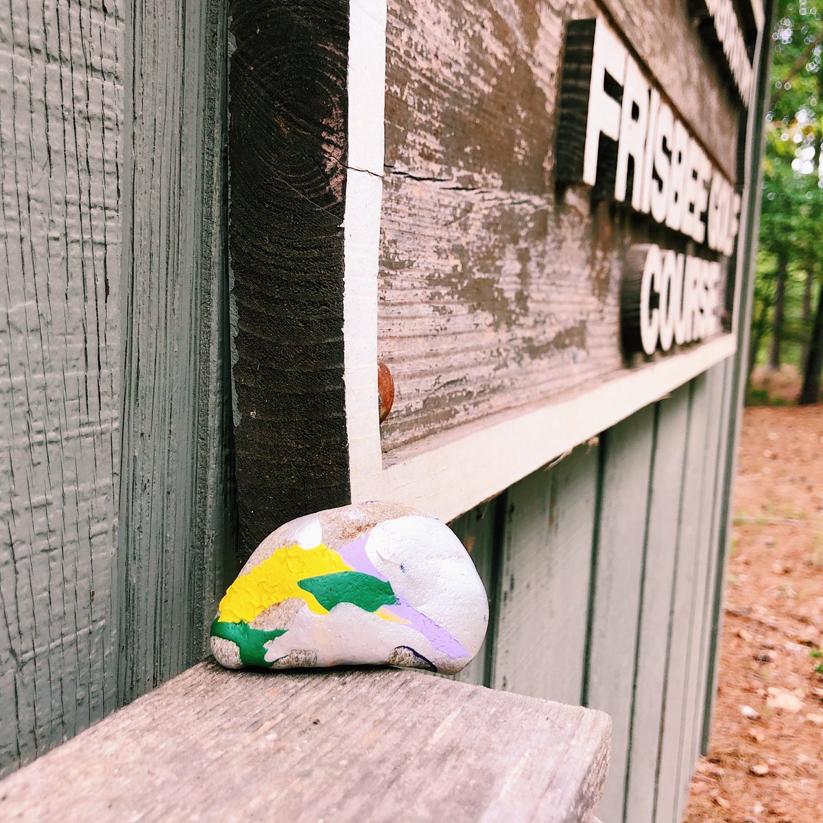 CUOutdoorLab's tweet image. We love finding sweet surprises around the Outdoor Lab! Check out this rock one of our guests left on the frisbee golf course 🤩 
#suites #cabins #lakefront #frisbeegolf #clemson #tigers