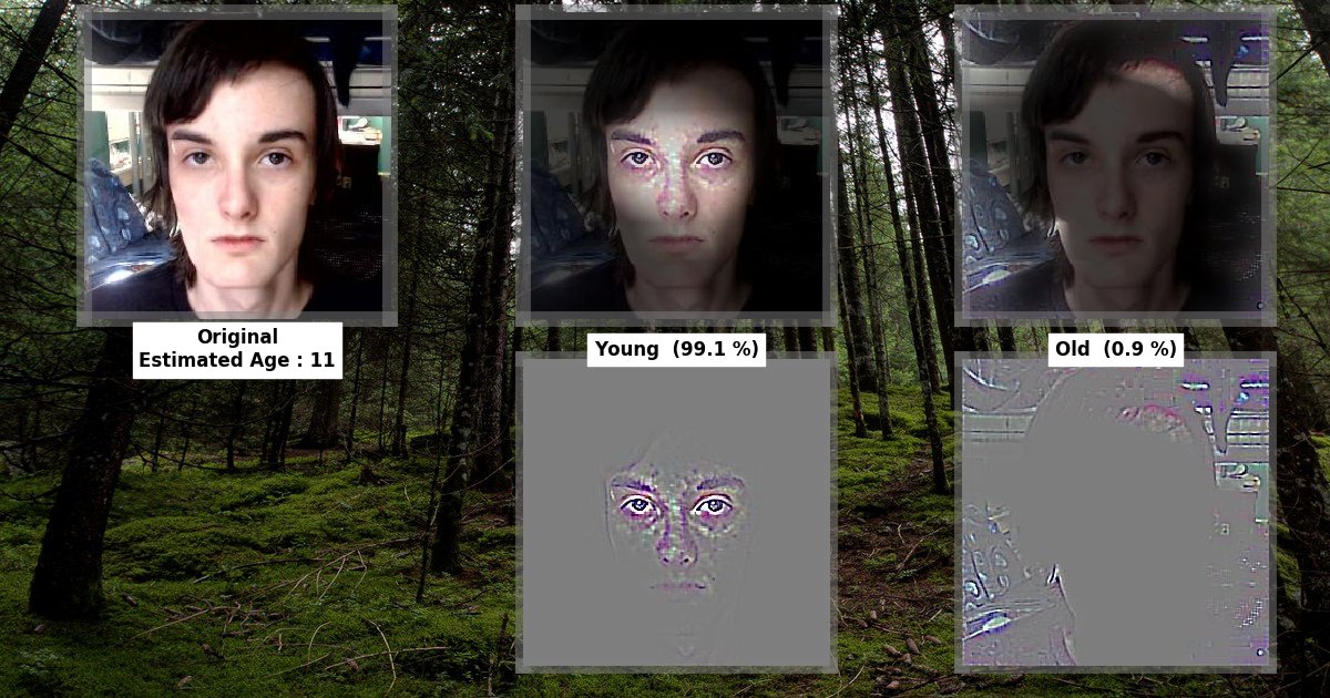 RustBot tweet picture