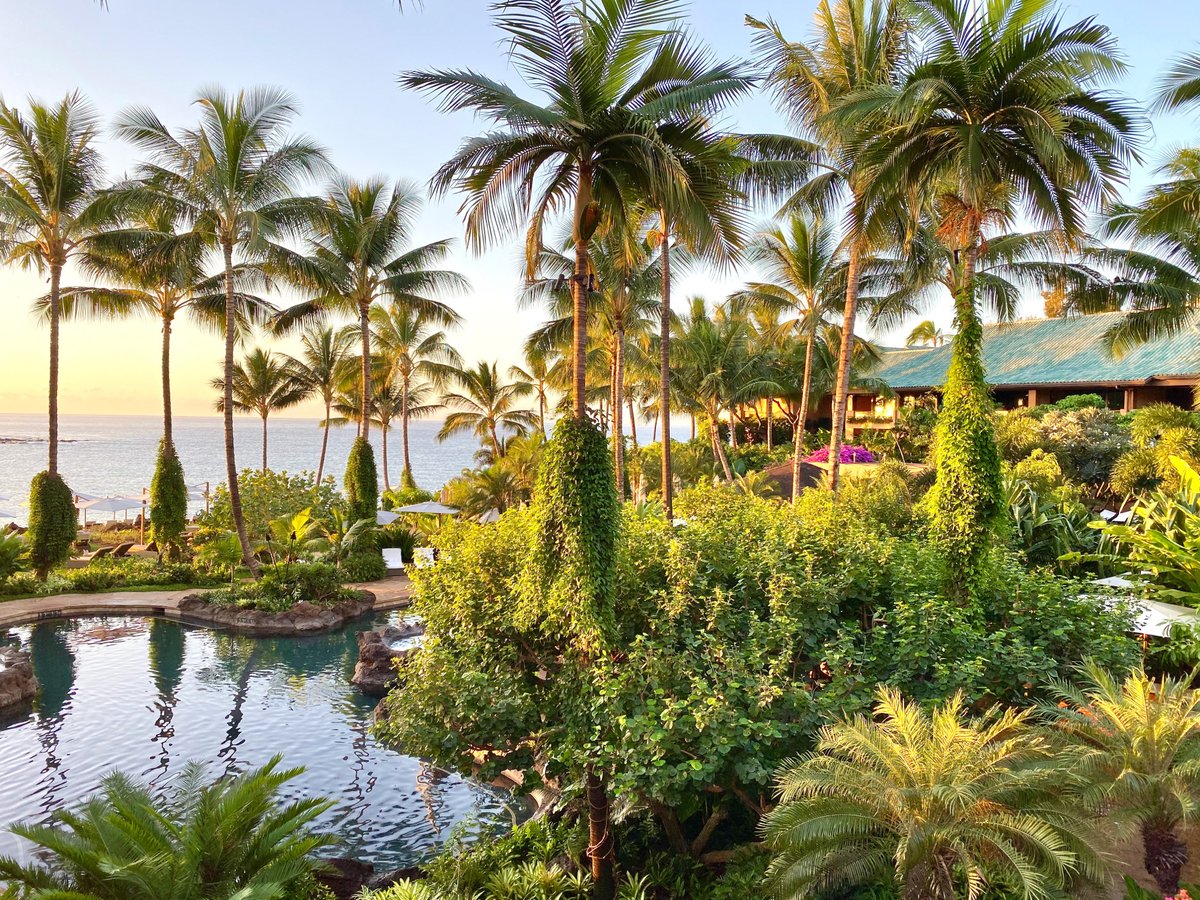 KNixTravel's tweet photo. JUST BOOKED @FSLanai for a client’s honeymoon in September 2021. Did you know… Hawaii is planning to reopen on October 15th to travelers with a negative Covid test taken 72 hrs prior to arrival 🌴 https://t.co/H6M3PwDSqe