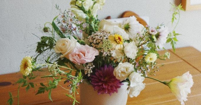 bhhsnc's tweet photo. The Best Flowers To Fill Your House With In The Fall https://t.co/SwLWzaz0L4 https://t.co/j5VfJJxk2t
