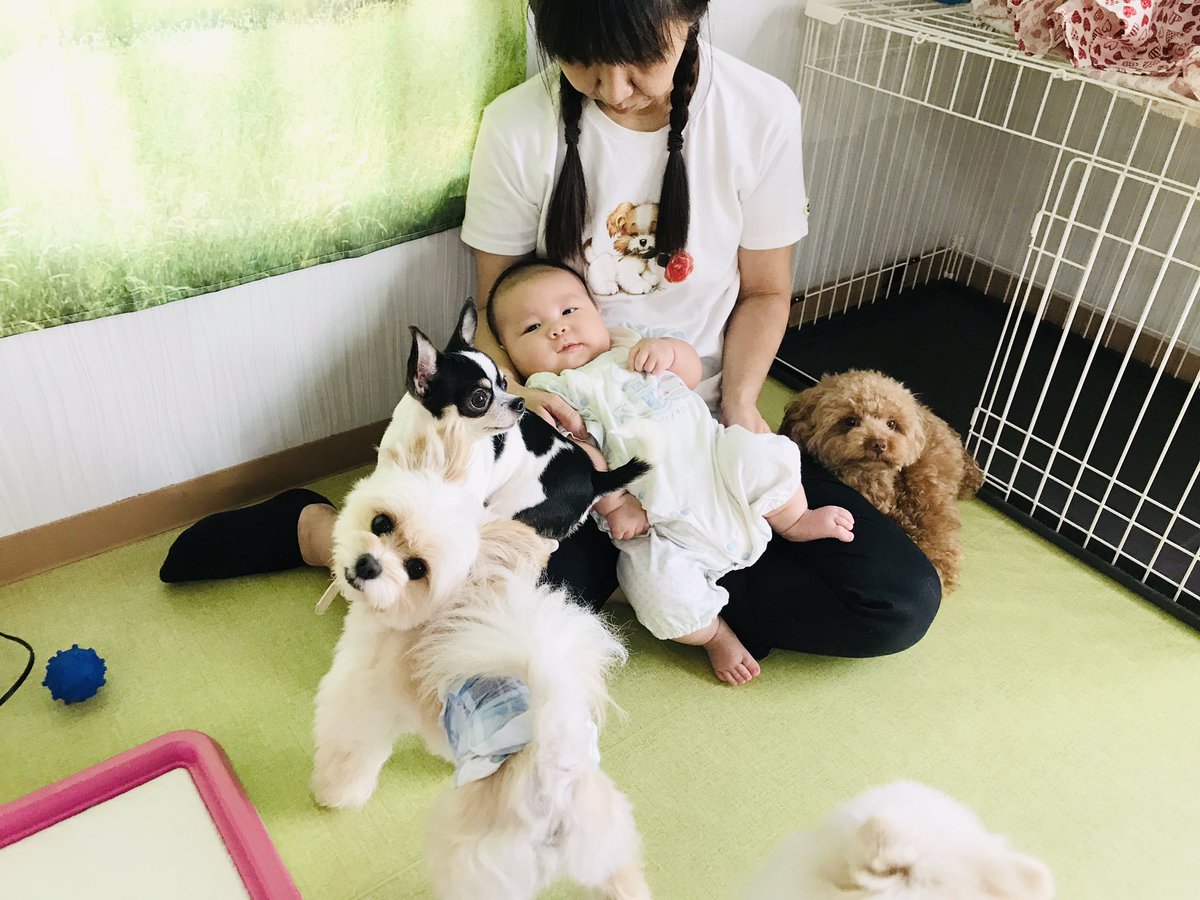 わんわんる む シュシュ おはようございます 今日はどうやら雨が降るようですね 外出される方は傘をお忘れなく さて 今日もシュシュは11 00オープン 看板犬と看板息子に会いに来てやってください みんなでお待ちしております 犬カフェ