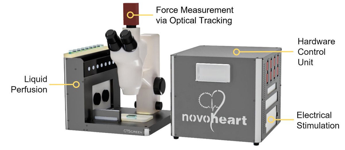 Novoheart's tweet photo. We debuted a new commercial platform, the CTScreen, to measure true contractility of 3-D engineered cardiac tissue at #SPSVirtual2020 last week, offering high precision, reliability, and versatility for drug discovery and cardiac research. Find out more: https://t.co/6dJiQFbT3b https://t.co/iyhad3jLEN