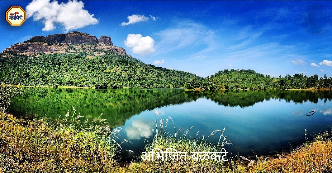 SaadSahyadrichi tweet picture