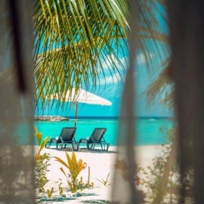 RelaxInAddu's tweet photo. Take a moment.
Put the worries behind.
Take in the beauty around.
Let it relax your mind beyond the equator.
#VisitAdduCity
#LifeBeyondTheEquator
#TheSunIsShiningInAdduCity
#TheSunIsShiningInMaldives
@weloveadducity
@visitmaldives
 @Mausoom_Maus https://t.co/U4IsP6uAj5