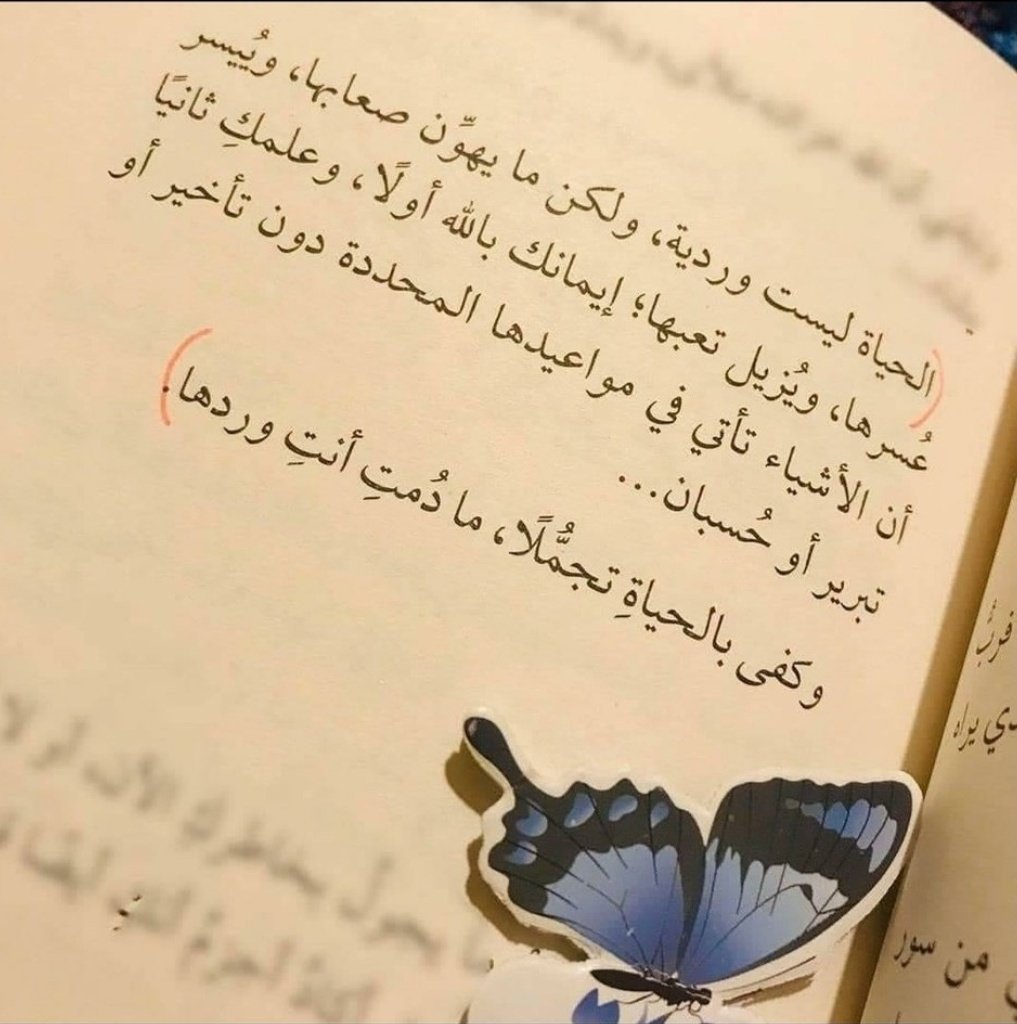 وكفى بالحياة تجملا"، مادمتِ أنتِ وردها 🌷