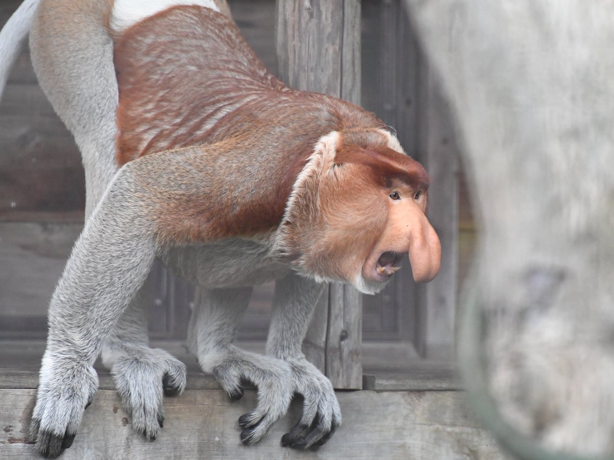 こんな生意気な態度を見せられたら そりゃあ親でも怒りますよ