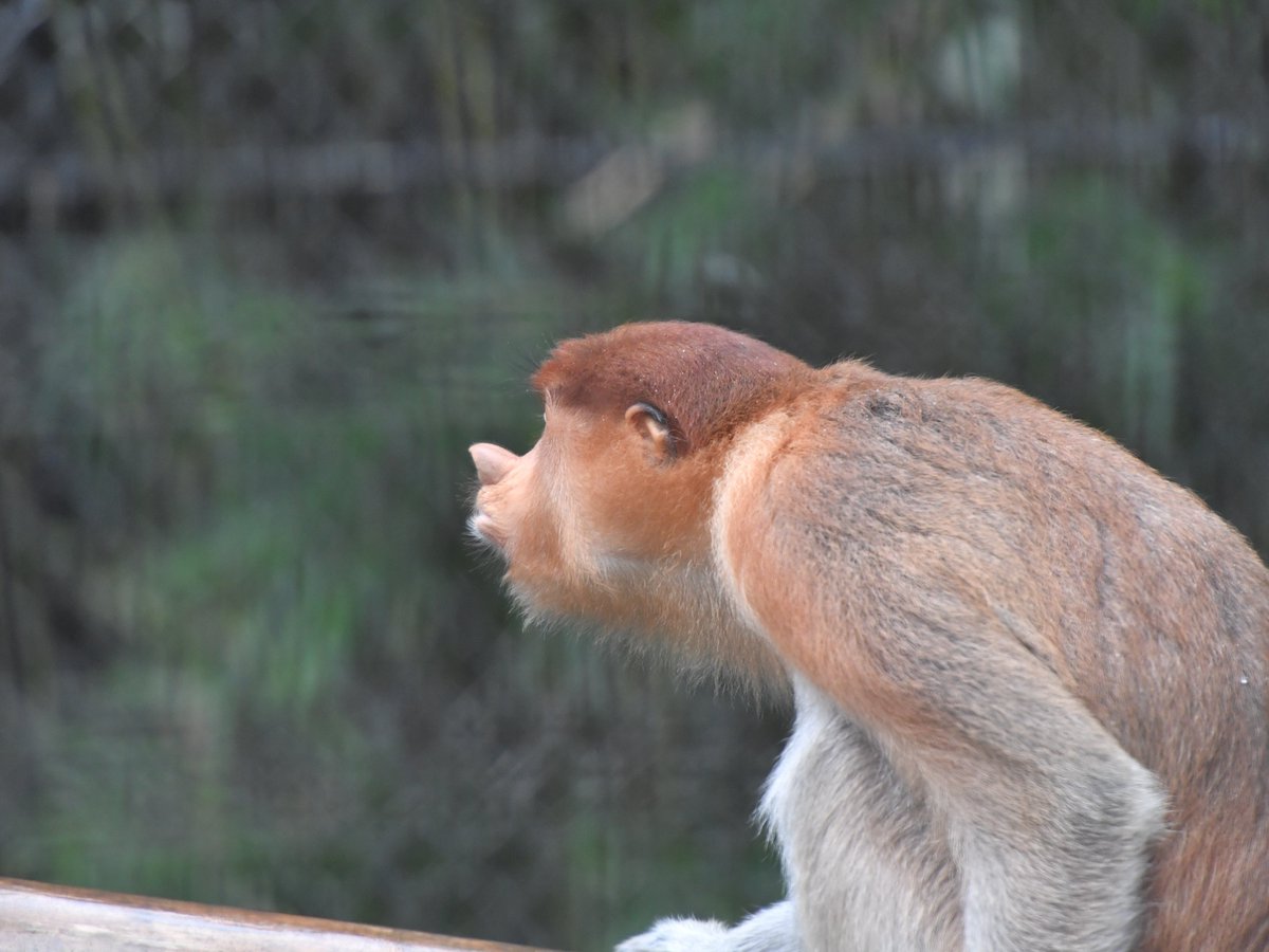 こんな生意気な態度を見せられたら そりゃあ親でも怒りますよ
