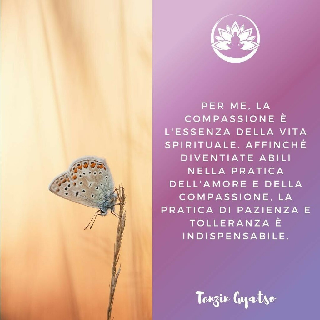 Meditazione Zen Auf Twitter Meditazionezen Meditazione Aforismi Aforisma Frasi Ispirazione Saggezza Citazioni Meditare Cambiamenti Crescitapersonale Like4like Buongiorno Motivazione Felicita Frase Frasedelgiorno Frasi Sicambia