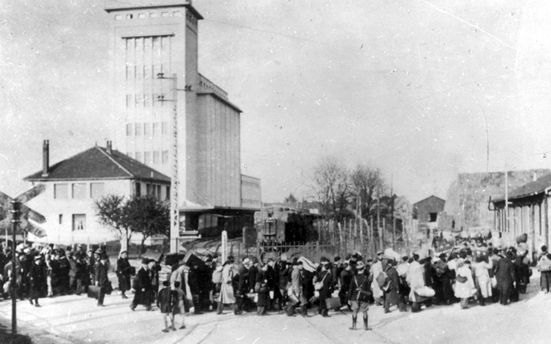 Auschwitz Exhibition tweet media