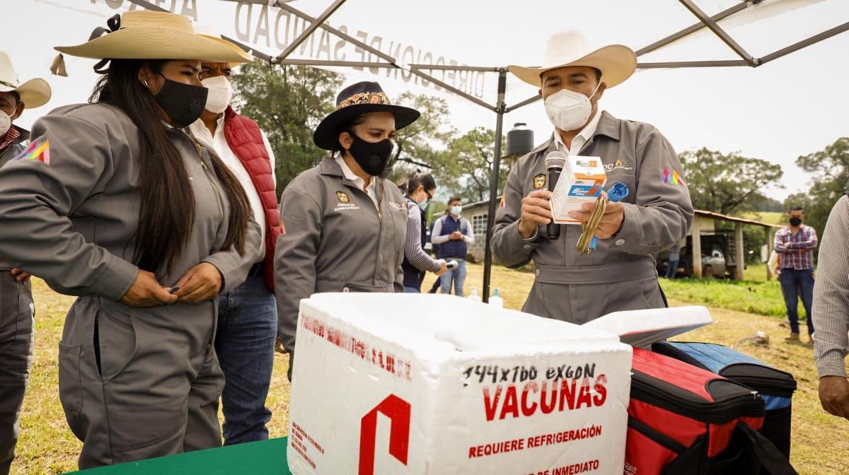 En San Simón de Guerrero iniciamos la campaña de vacunación para 1,700  cabezas de ganado bovino 🐄🐂, ovino 🐑 y caprino 🐐, así como la colocación de aretado identificador. Así cumplimos la instrucción del Lic <a href="/alfredodelmazo/">Alfredo Del Mazo</a> para apoyar a los productores pecuarios.