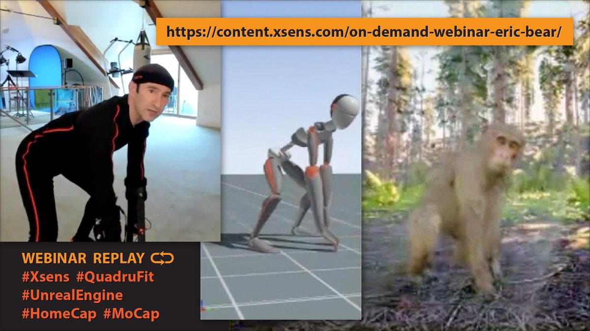 ericgouldbear's tweet photo. Missed our tutorial on real-time 🦍 primate #MoCap using #Xsens + #QuadruFit in #UnrealEngine for #HomeCap virtual production? Visit https://t.co/oXmGF7k2i9. Embodying inspiration from @TerryNotary and @AndySerkis. 👊🏽🐵 Free your inner monkey! https://t.co/shZG3Q0Ffo