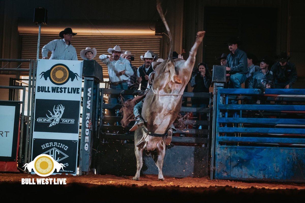 Bull West Live tweet media