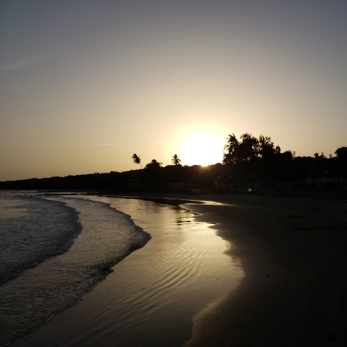 Nar_en19's tweet photo. #Quarantine #missingthebeach #nature #degreehasstarted https://t.co/xBZSbzt1aK