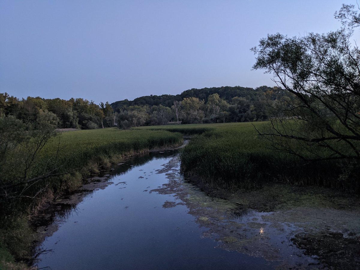 pig_gym's tweet photo. Had a great run tonight with #trailsroc #trailmix #trailrunning https://t.co/tItpmWnsEu
