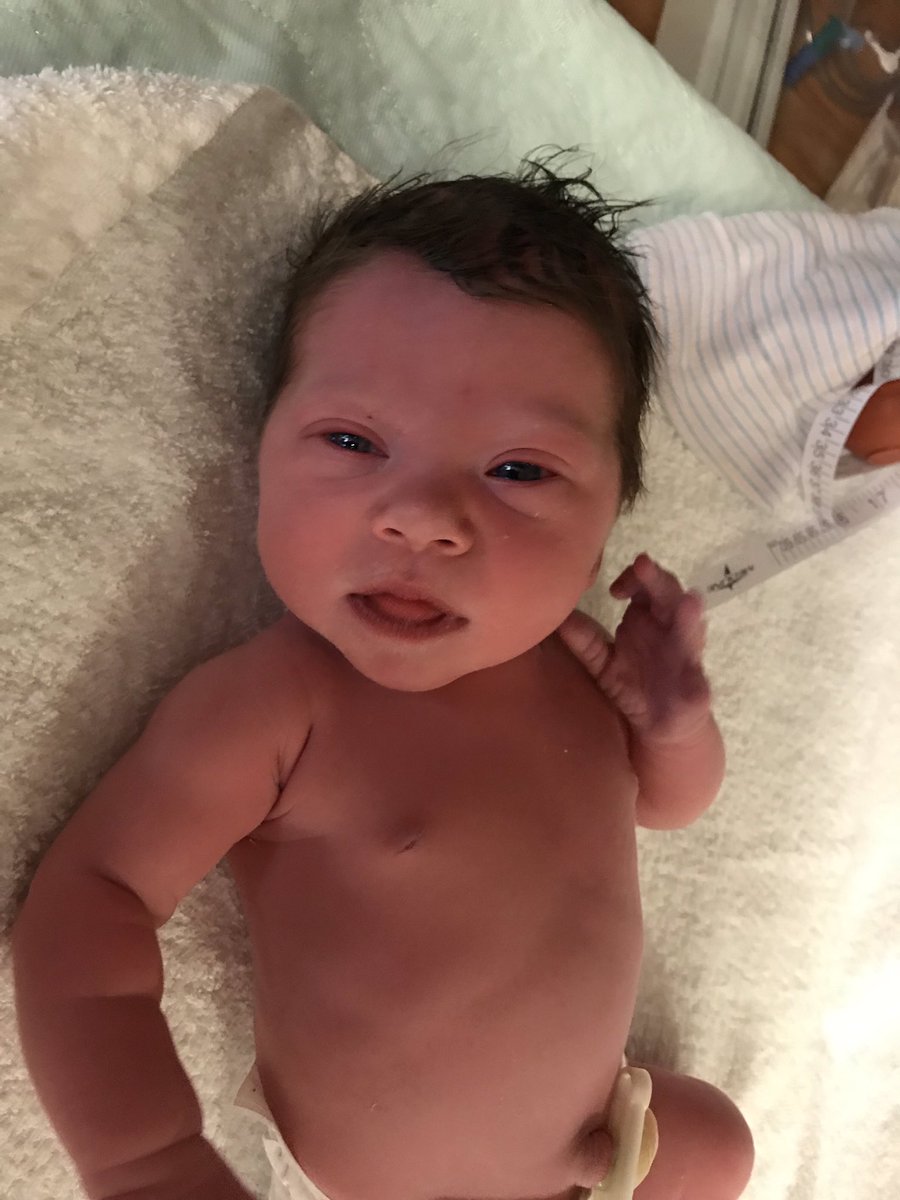 serenarenee20's tweet photo. 19 hours of intense labor later, miss stella grey meadows is finally here 🤍 can’t believe I made her https://t.co/SodiIAbiFg
