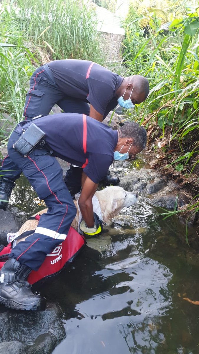 Boriel Jean Luc (@modrime) on Twitter photo #aborder #rassurer #secourir #operation 🦮réussie pour les #pompiers de <a href="/VilleSchoelcher/">Ville de Schoelcher</a> 🚒👩🏾🚒👩🏾🚒 #aborder #rassurer #secourir #operation 🦮réussie pour les #pompiers de <a href="/VilleSchoelcher/">Ville de Schoelcher</a> 🚒👩🏾🚒👩🏾🚒