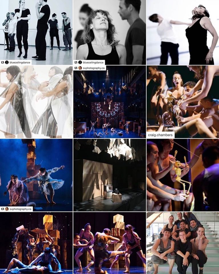 DanceWorksTO's tweet image. @TAPA_TO launched #IMissLiveTheatreTO to celebrate artists and audiences, with a call to encourage audience members to share some of their favourite performing arts moments.

Tell us, what are some of your DanceWorks moments?

#DanceWorksTO
#CoWorksTO
#danceTO