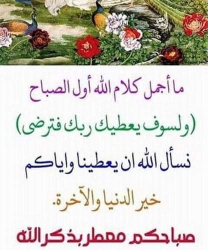 EsayedHagar tweet picture