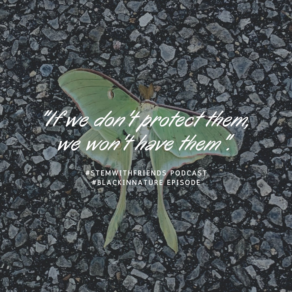 #STEMWithFriends tweet media