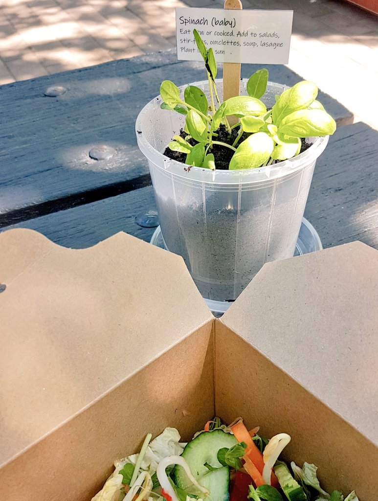 Free lunch AND free seedlings!  <a href="/Uni_Newcastle/">University of Newcastle</a> to be carbon neutral by 2025! 🌱🌱🌱 #PhD #phdchat #ClimateActionNow