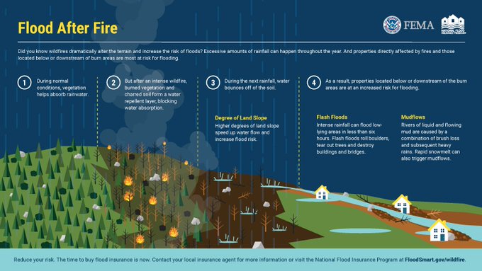 ORDeptForestry's tweet photo. Rain &amp; wind may cause landslides, debris flows and fallen trees, especially in areas affected by wildfire.  You can visit https://t.co/g5AGimfhf7 to learn how you can prepare. https://t.co/Dl8Q69yiIs