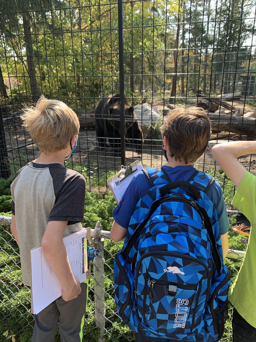 silverspringsk's tweet photo. Outdoor science lessons at the Forestry Farm. #spslearn #inourownbackyard @MrsScissons https://t.co/QFsdzT7DeI