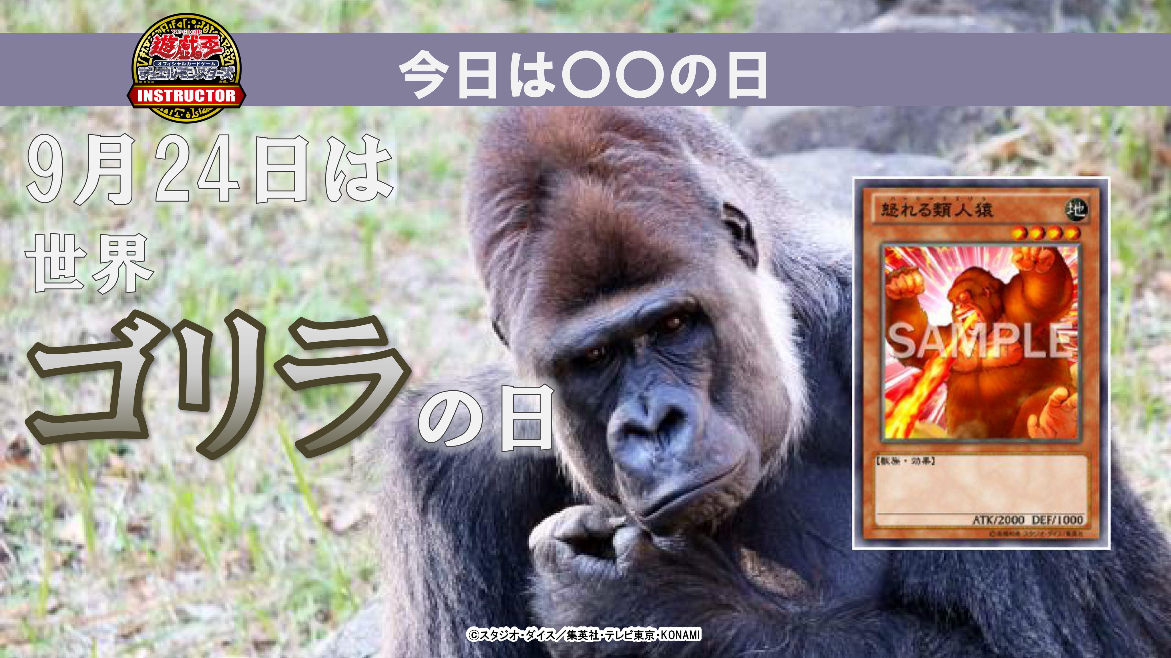 公式】遊戯王カードゲームインストラクター on X 公式】遊戯王カードゲームインストラクター on X