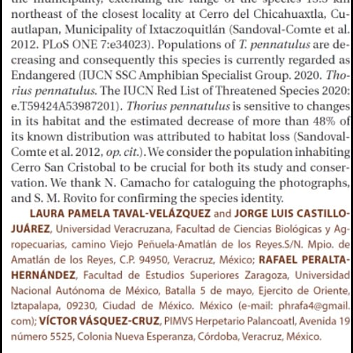 palancoatl's tweet photo. Thorius pennatulus 
Salamandra pigmea veracruzana

 Sus poblaciones están disminuyendo, por ende está en peligro de extinción. Se descubrio una nueva localidad publicada en la revista Herpetological Review.

#thorius #thoriuspennatulus #herpetariopalancoatl #palancoatl https://t.co/mop7MIZbfI