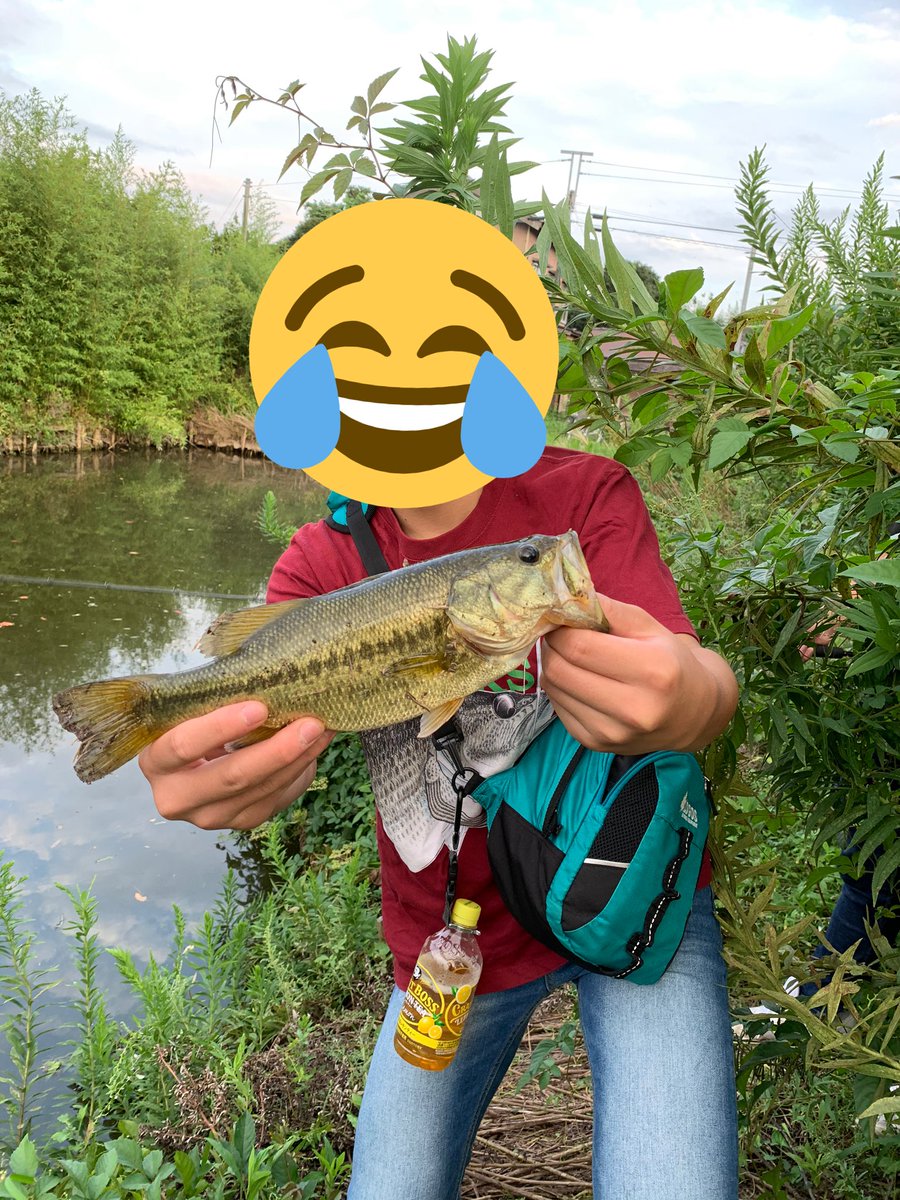 千葉県バス釣り 千葉県バス釣り