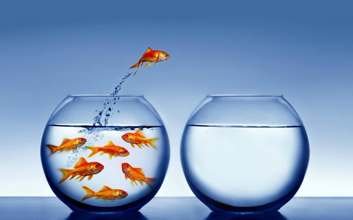 Atarangi_Kp's tweet photo. काल आपण Comfort Zone म्हणजे नक्की काय असतो हे जाणून घेतलं, 
पण मग कशाला आता नवीन काही शिकायचं Comfort Zone का तोडायचा हा प्रश्न येतो.
आज आपण बघू की comfort zone तोडून नवीन शिक्षण (Learning/Skill Development) म्हणजे नक्की काय ?
आणि ते का महत्वाचं आहे...
#Tread1 👇
#मराठी #म #रिम https://t.co/v8a36G6alI