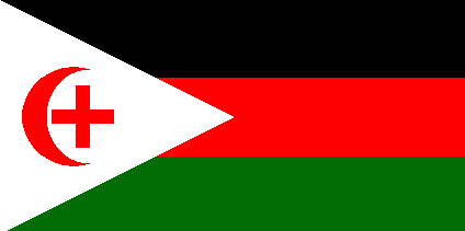 Arab colors were formulated as a national symbol in the early 20th century. They're prominent in all proposed versions, linked to Palestinian insistence that their nation was part of the Arab world- and couldn't be cleaved off by British colonialism into someone else's homeland