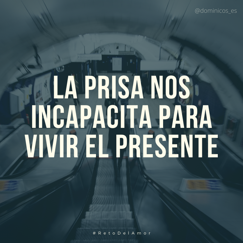 Dominicos tweet media