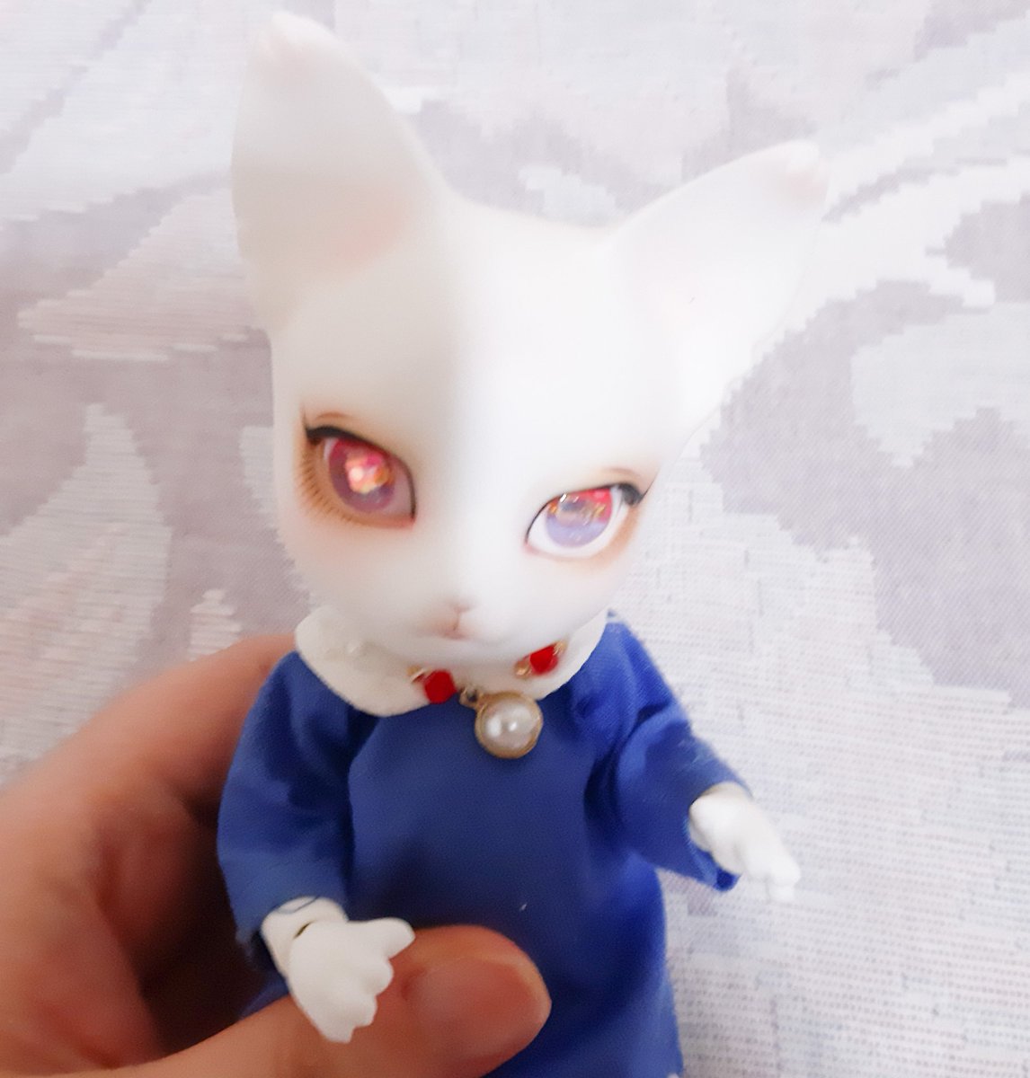 디오(반쯤동결) tweet media