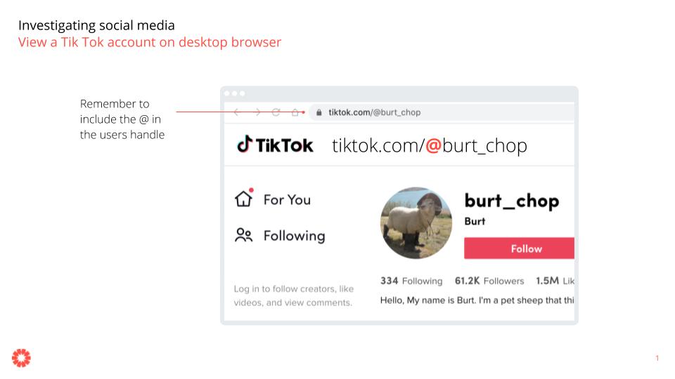 Step 1 - Open up TikTok on your browser. Remember that to view a TikTok account you have to include the @ before the user’s handle in the URL →  http://tiktok.com/@userhandle 