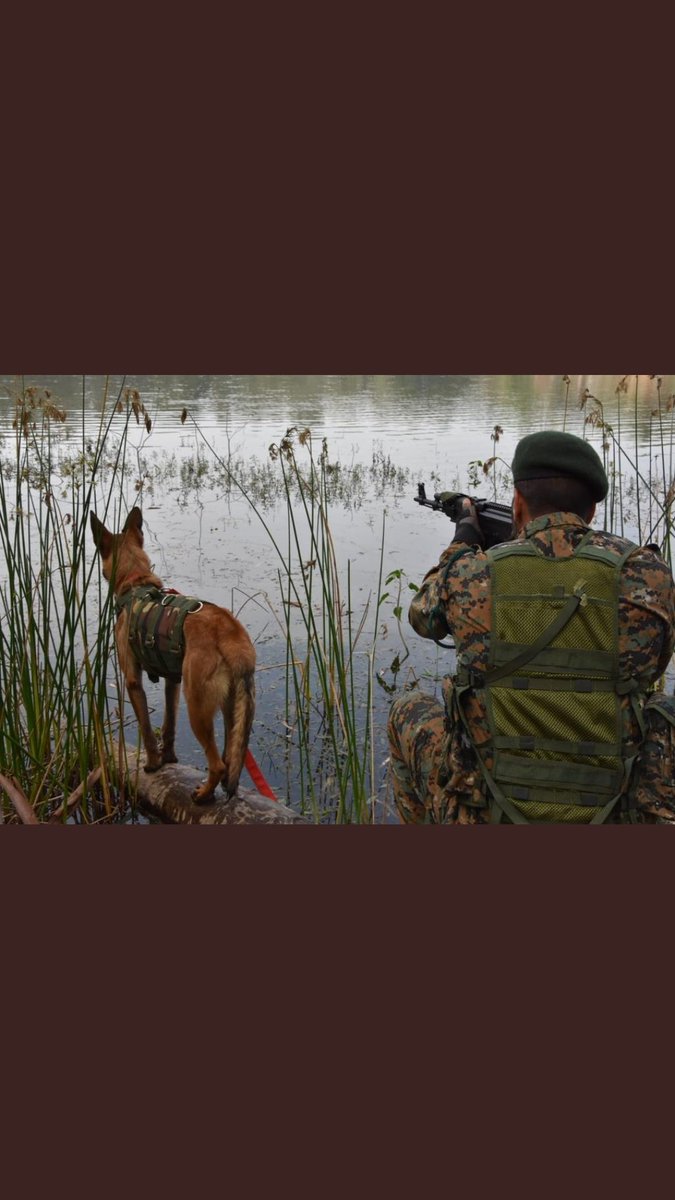 NIRAJKU64517810's tweet photo. #JUSTICEFORSSCGD_2018
Ssc gd RECRUITMENT 2018 KI VACENCY INCREASE KARO OR SABHI MEDICAL FIT CANDIDATES KO JOINING DO PLS SIR
@crpfindia @PMOIndia @RahulGandhi @RajatSharmaLive @Ranbir_Crpf @rajnathsingh https://t.co/0GXcA6F4V5